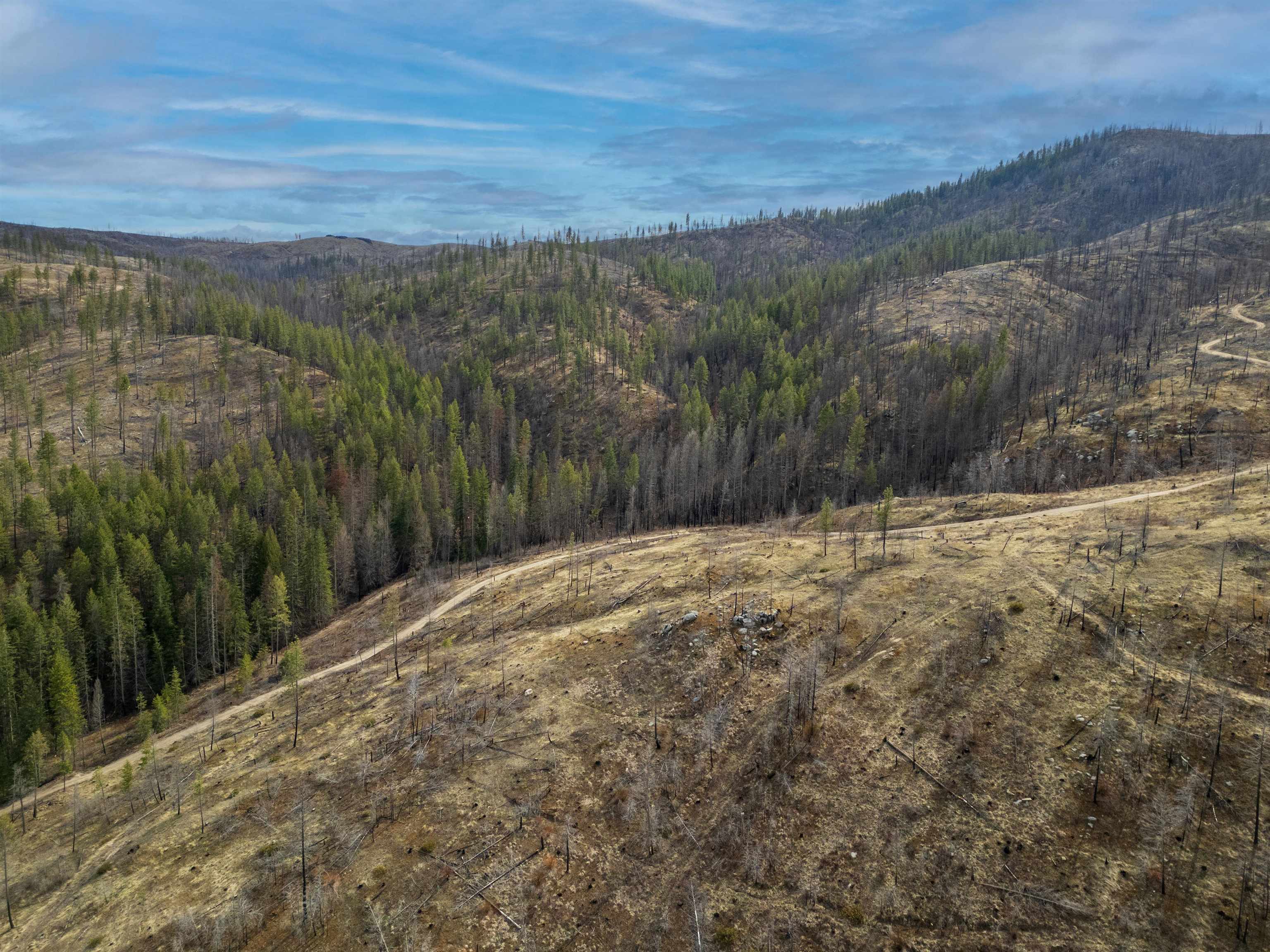 Lot 7 Rail Canyon Rd - Photo 6