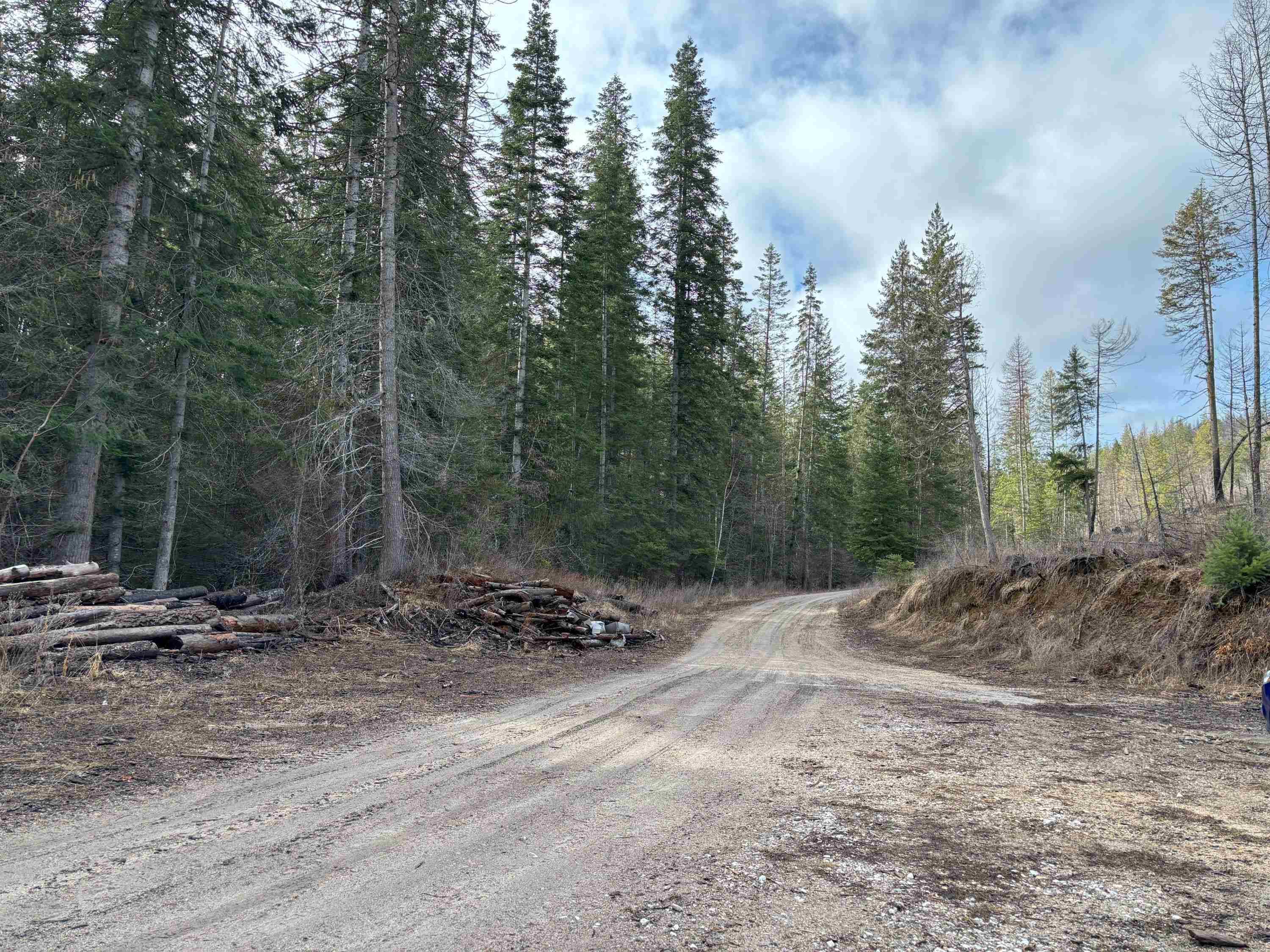 Lot 7 Rail Canyon Rd - Photo 7