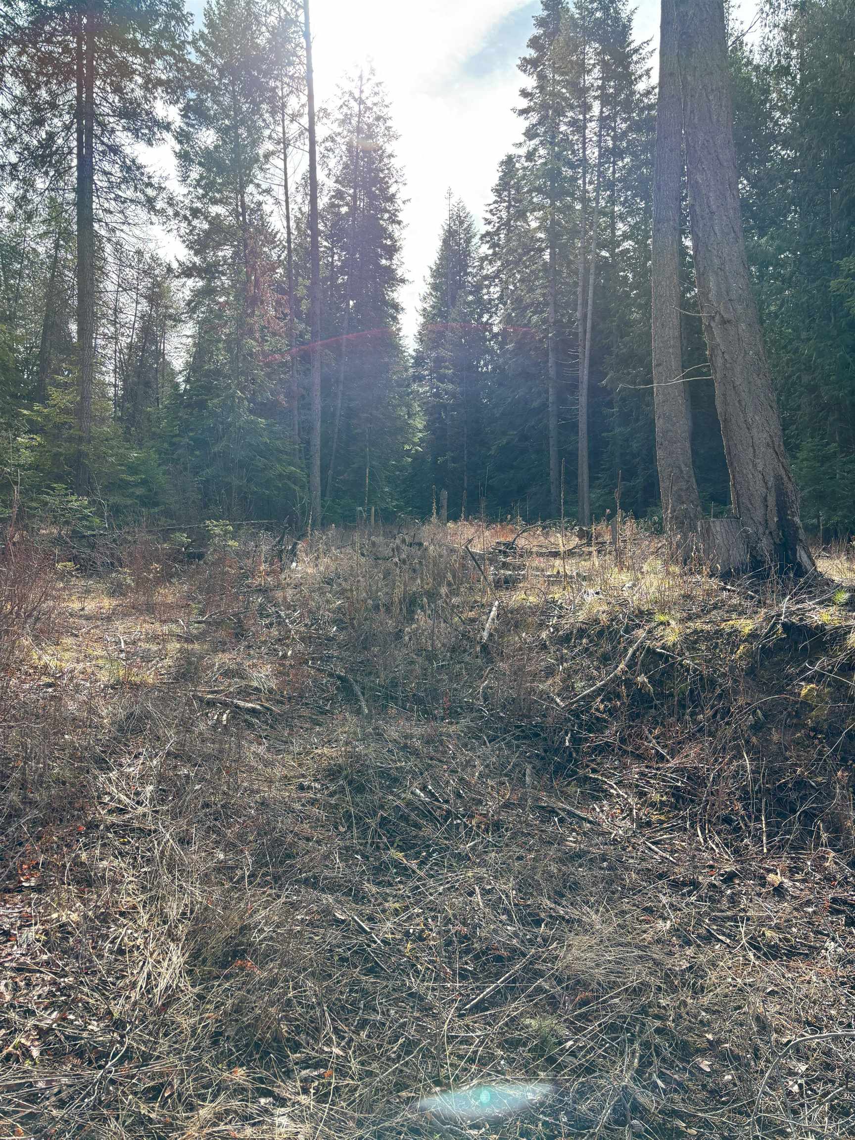 Lot 7 Rail Canyon Rd - Photo 8
