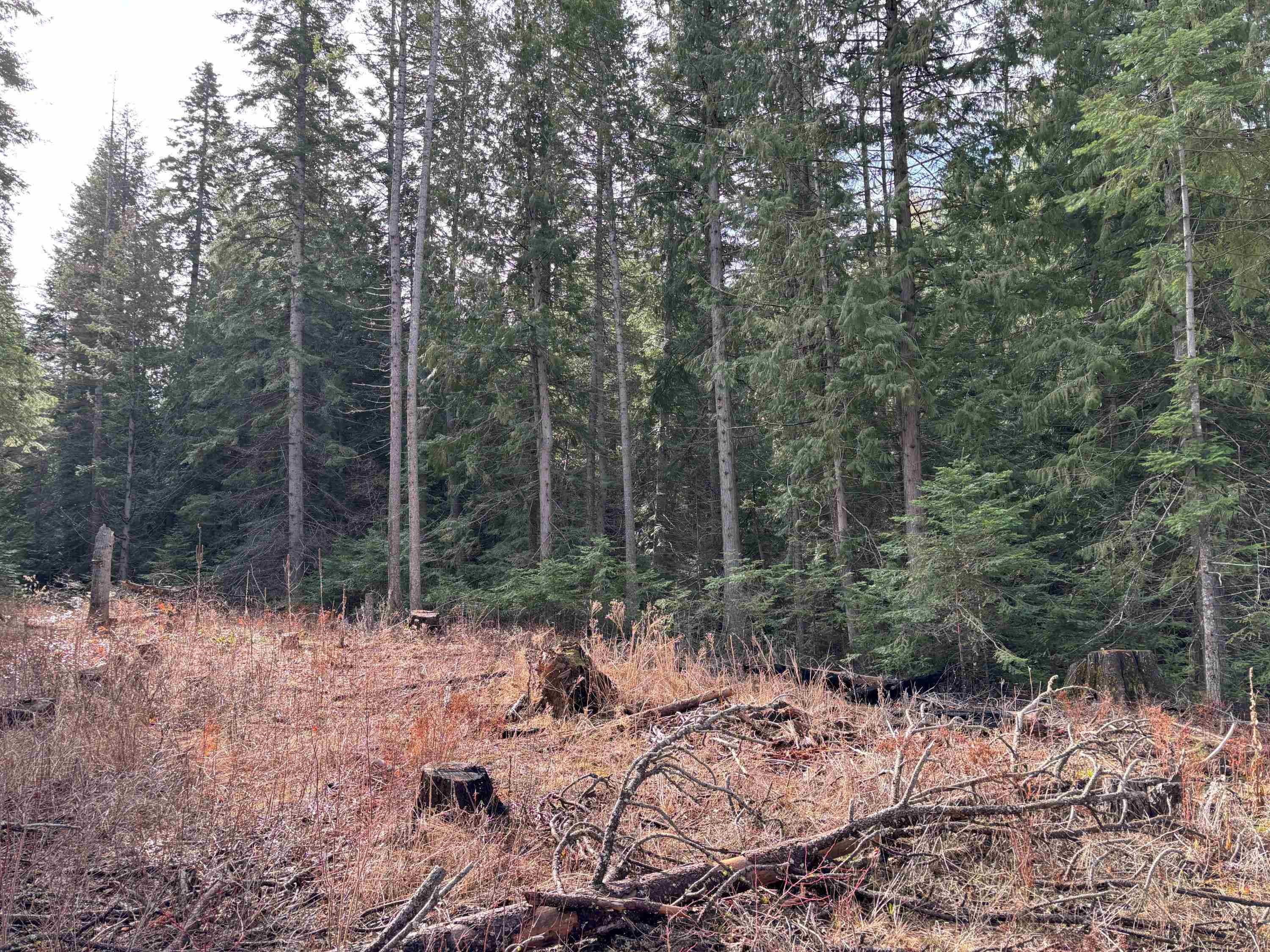 Lot 7 Rail Canyon Rd - Photo 9