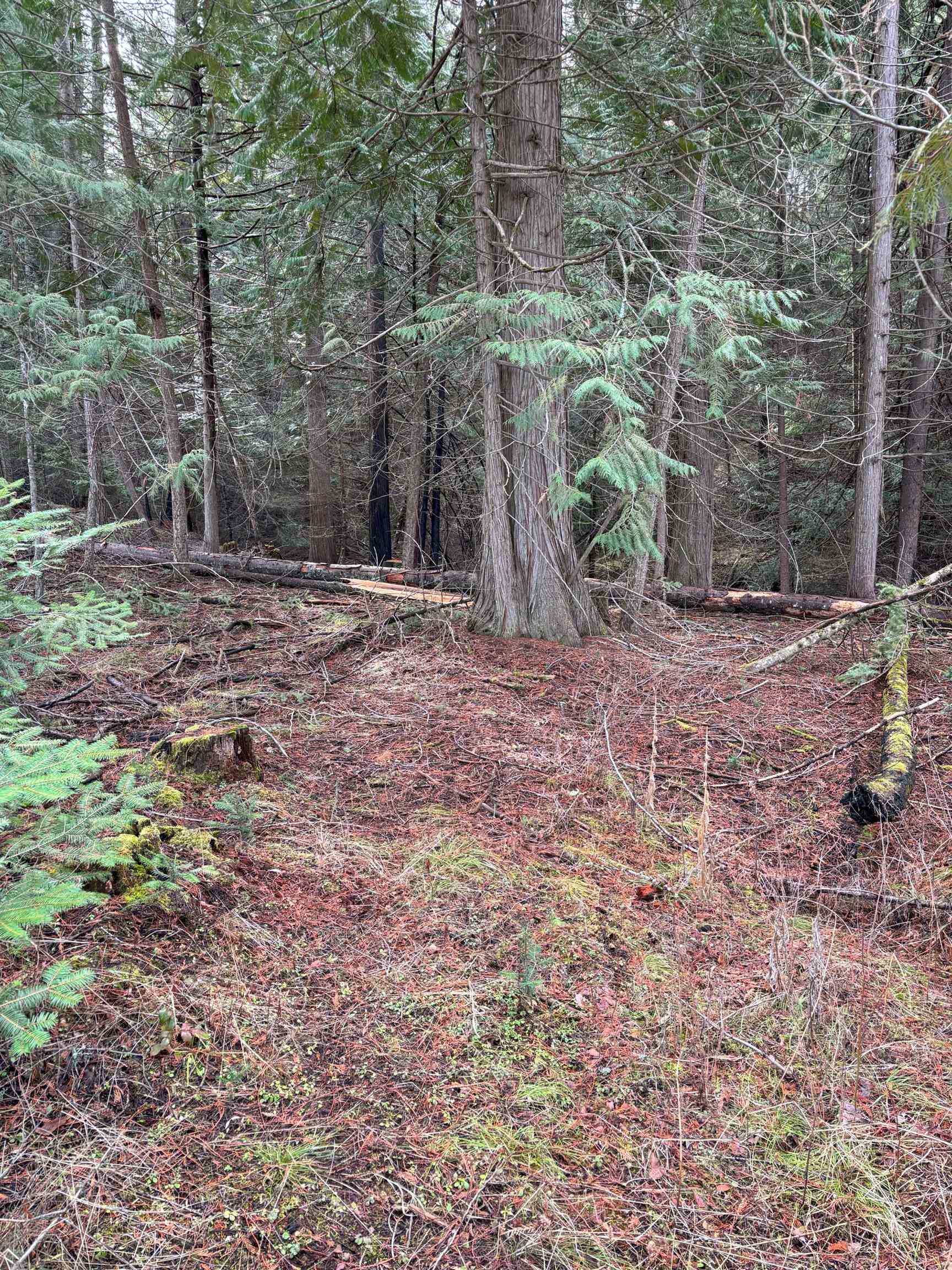 Lot 7 Rail Canyon Rd - Photo 10
