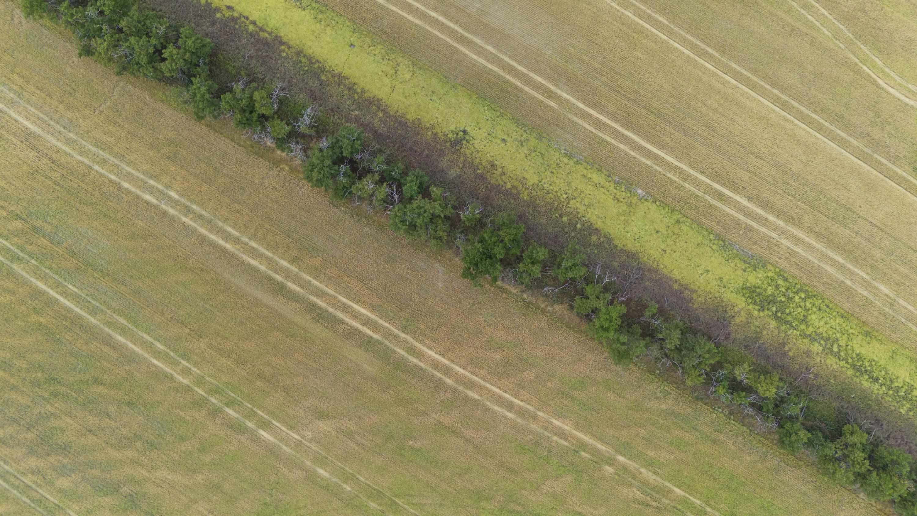 0 E Toll Rd - Photo 17