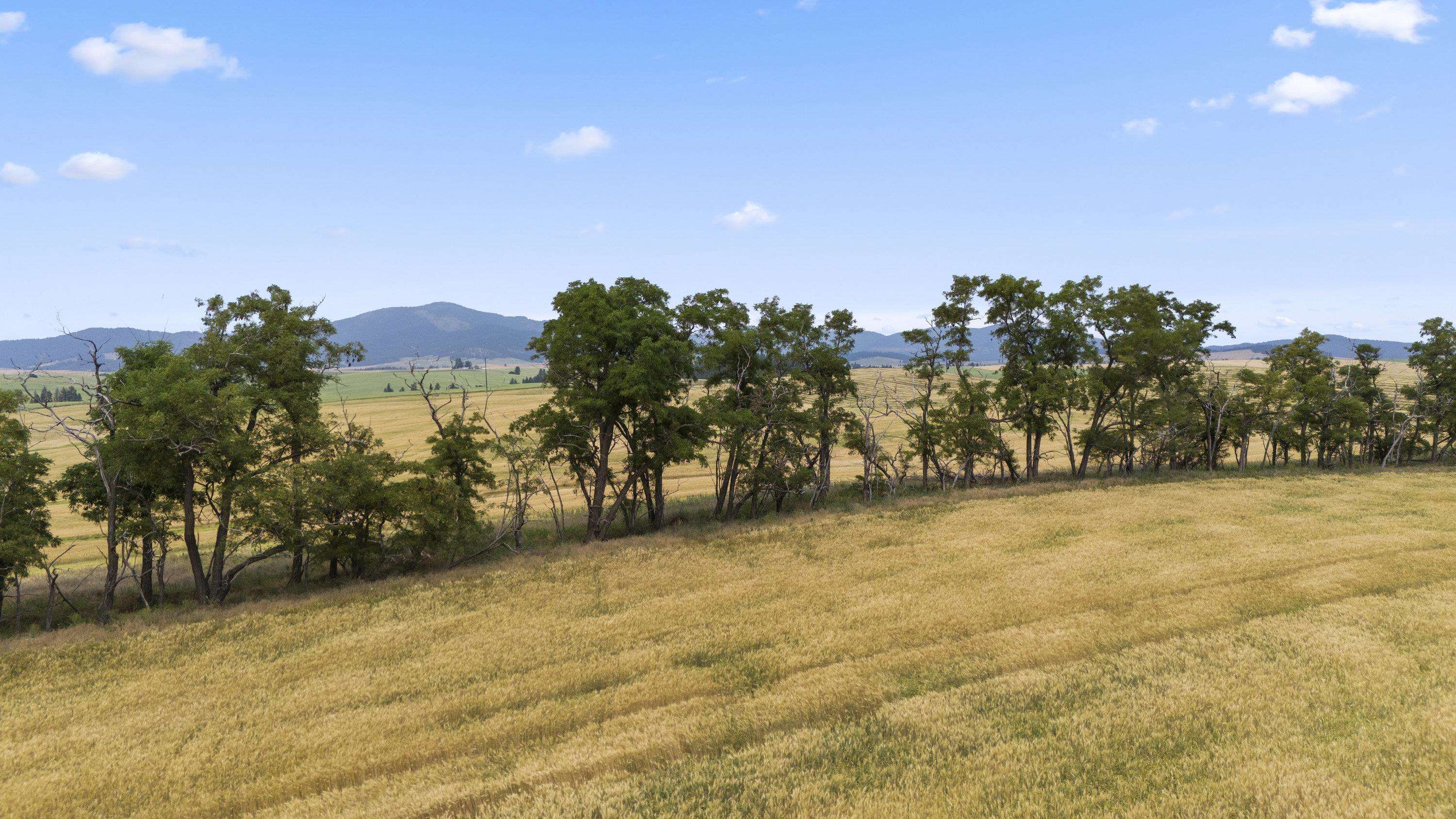 0 E Toll Rd - Photo 18