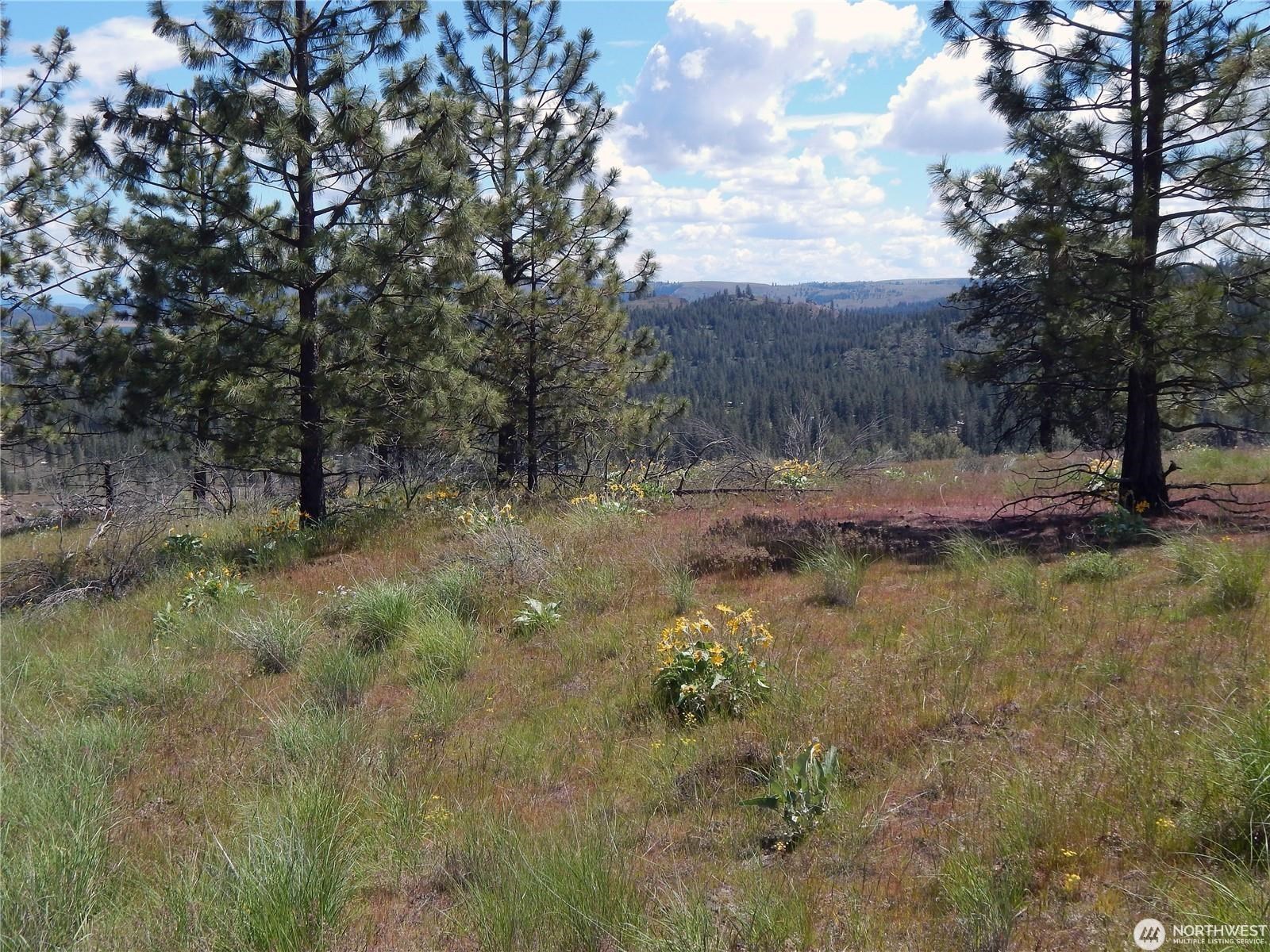 2 Hart Rd - Photo 12