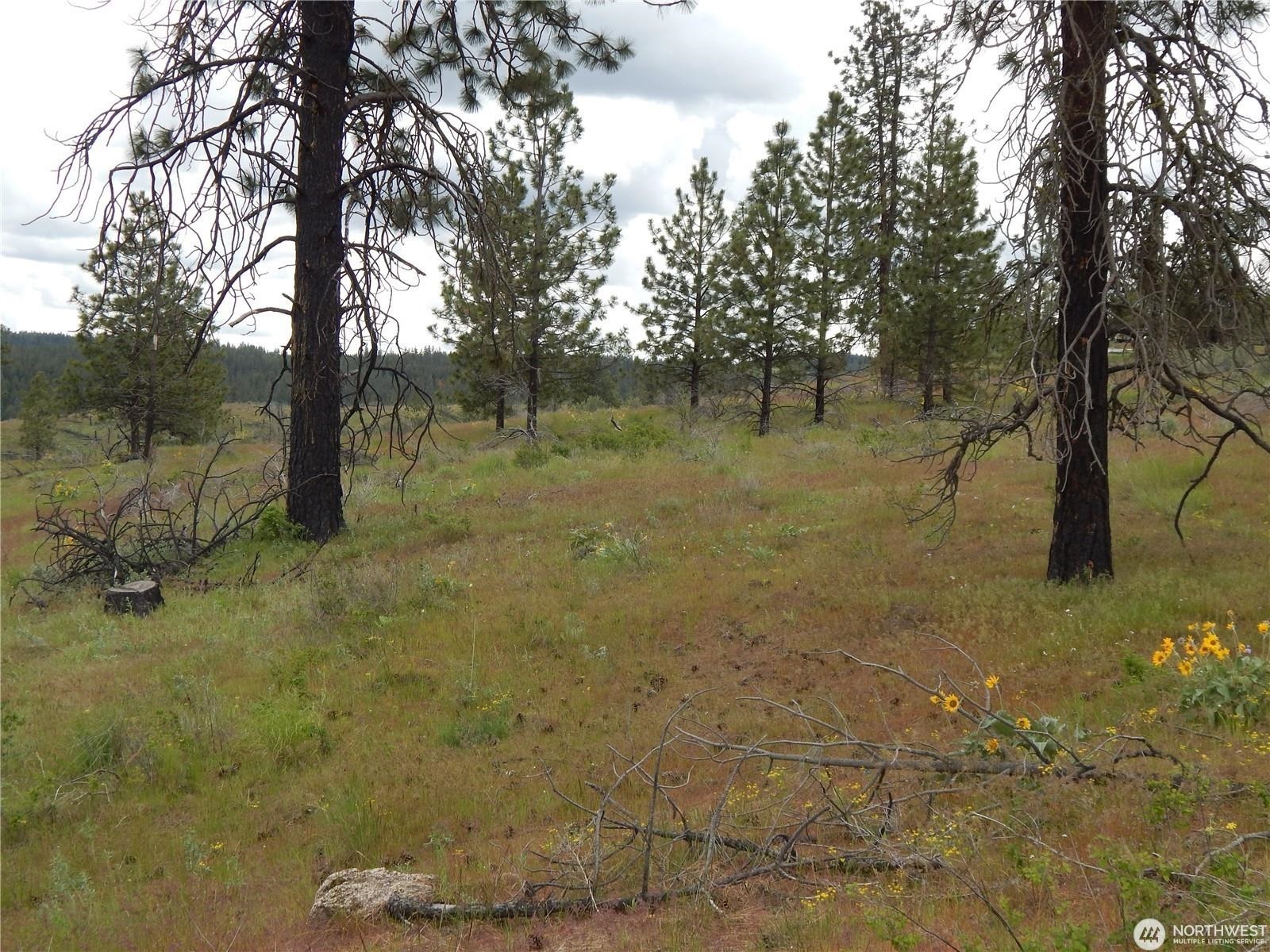 2 Hart Rd - Photo 7