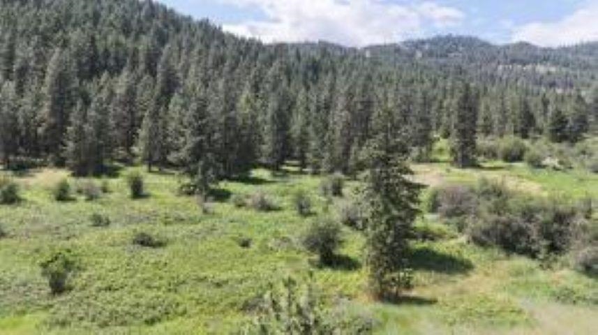 20XX Northport Flat Creek Rd - Photo 1