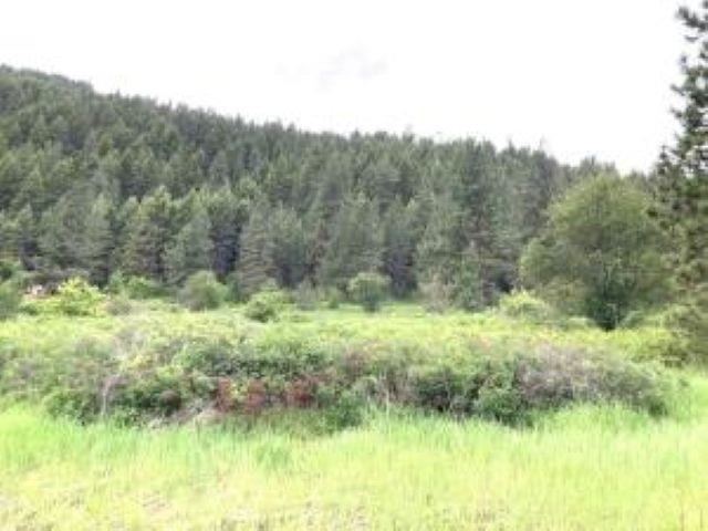20XX Northport Flat Creek Rd - Photo 2