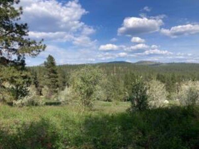 20XX Northport Flat Creek Rd - Photo 3