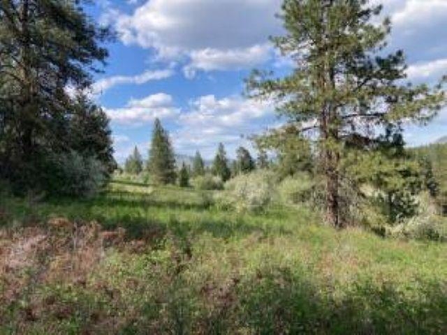 20XX Northport Flat Creek Rd - Photo 4