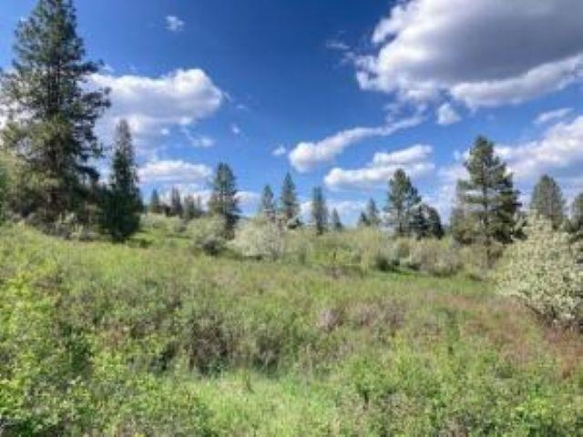 20XX Northport Flat Creek Rd - Photo 5