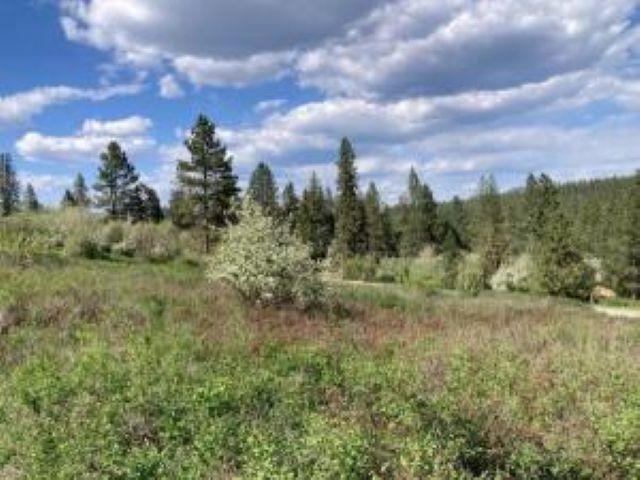 20XX Northport Flat Creek Rd - Photo 6
