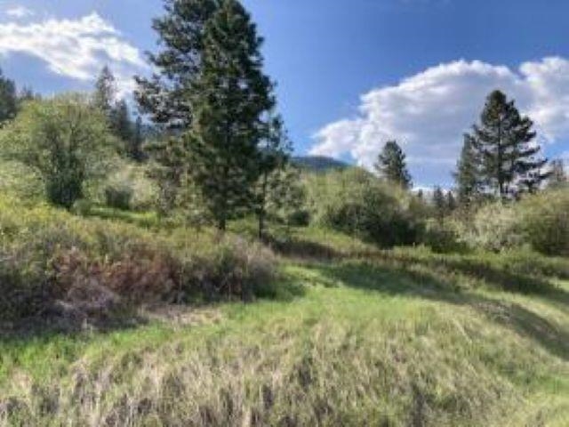 20XX Northport Flat Creek Rd - Photo 7