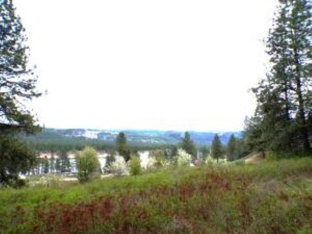 20XX Northport Flat Creek Rd - Photo 9