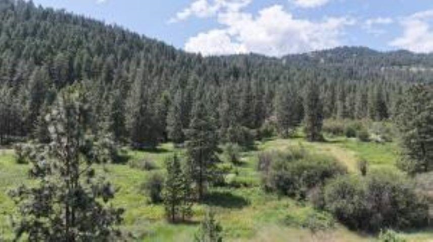 20XX Northport Flat Creek Rd - Photo 10