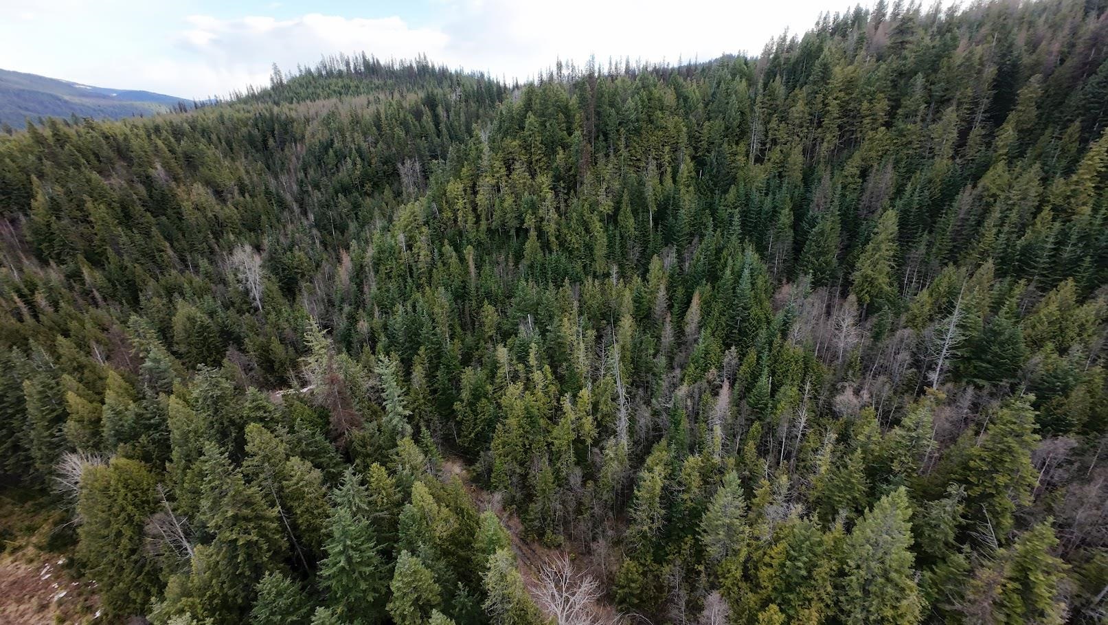 7301 WA-31 Hwy - Photo 1