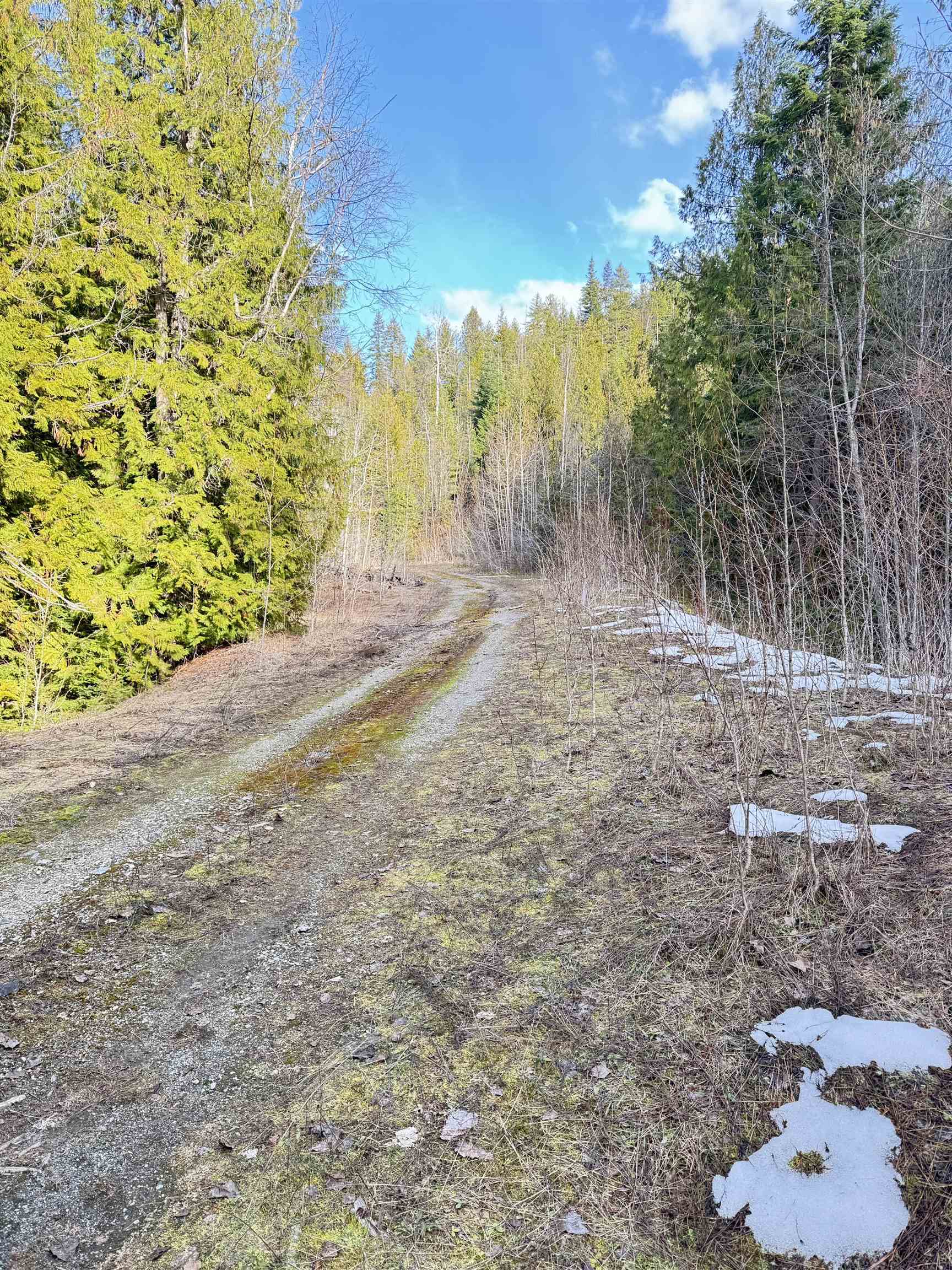 7301 WA-31 Hwy - Photo 11