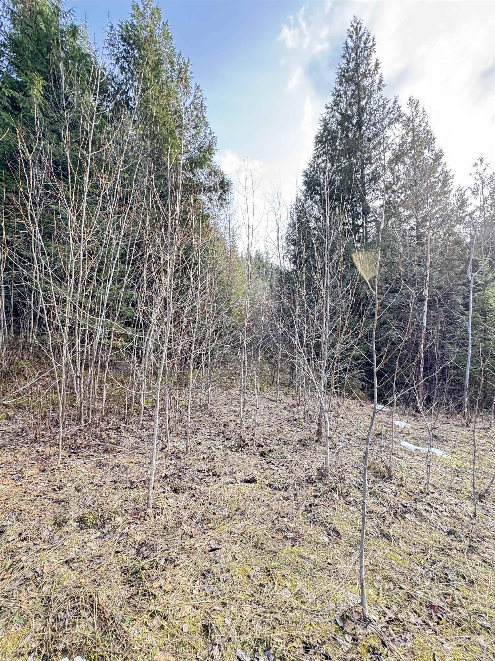 7301 WA-31 Hwy - Photo 12