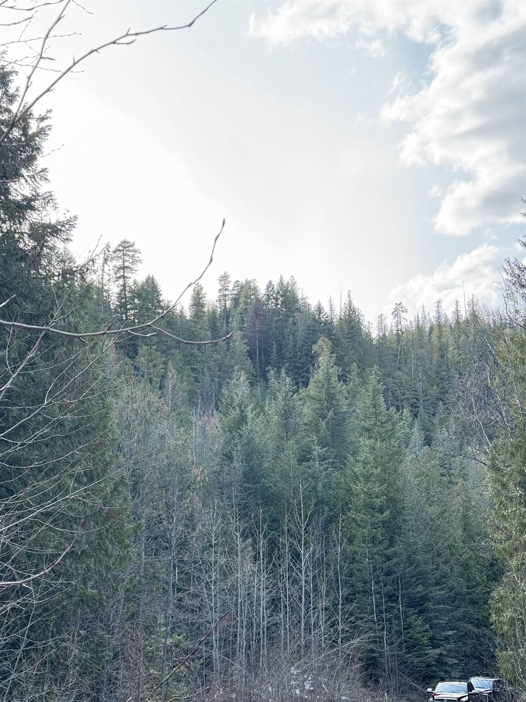 7301 WA-31 Hwy - Photo 13