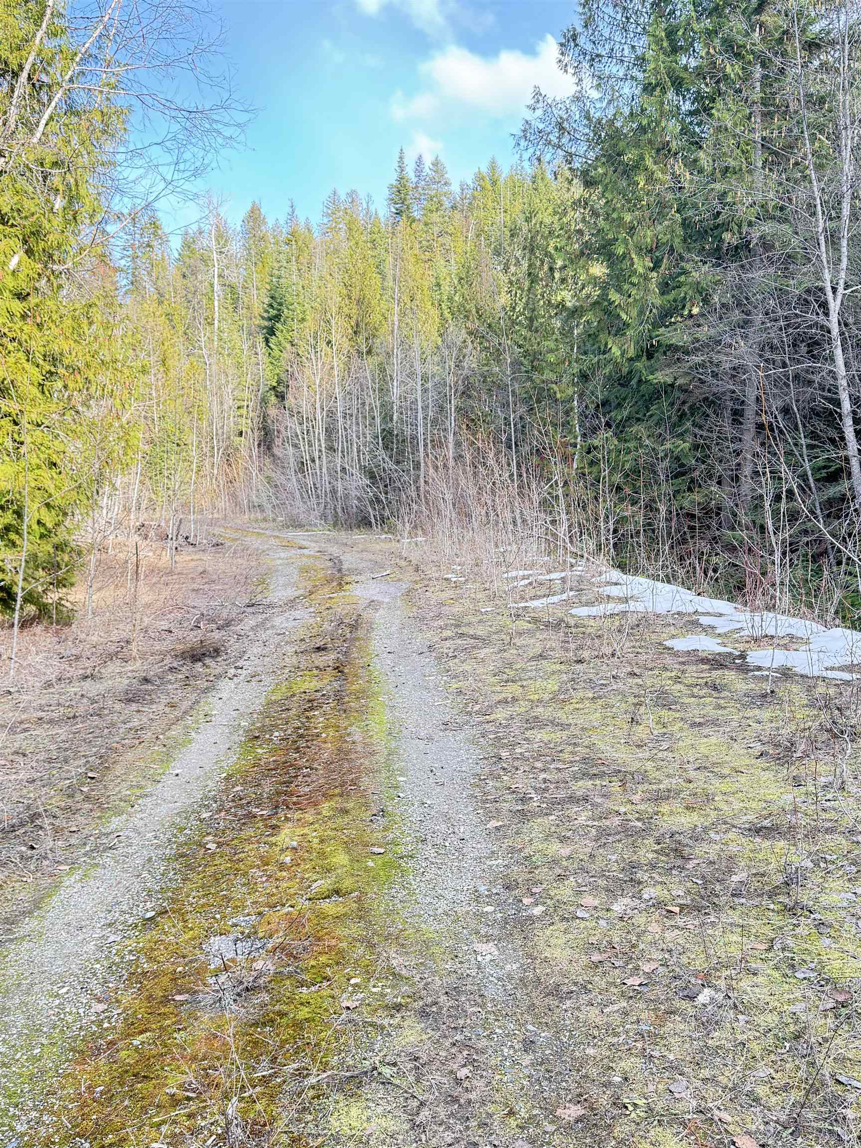 7301 WA-31 Hwy - Photo 14