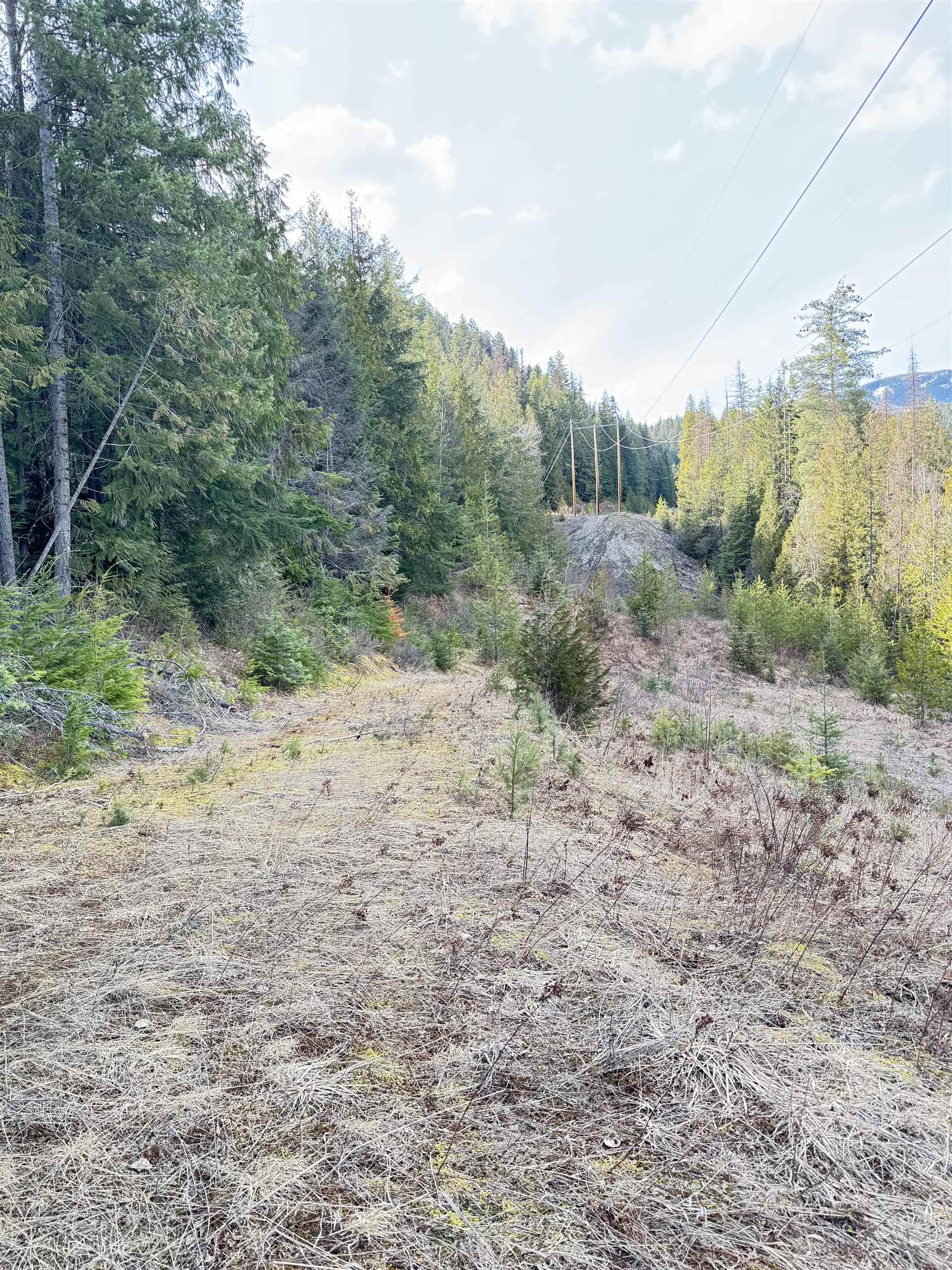 7301 WA-31 Hwy - Photo 6