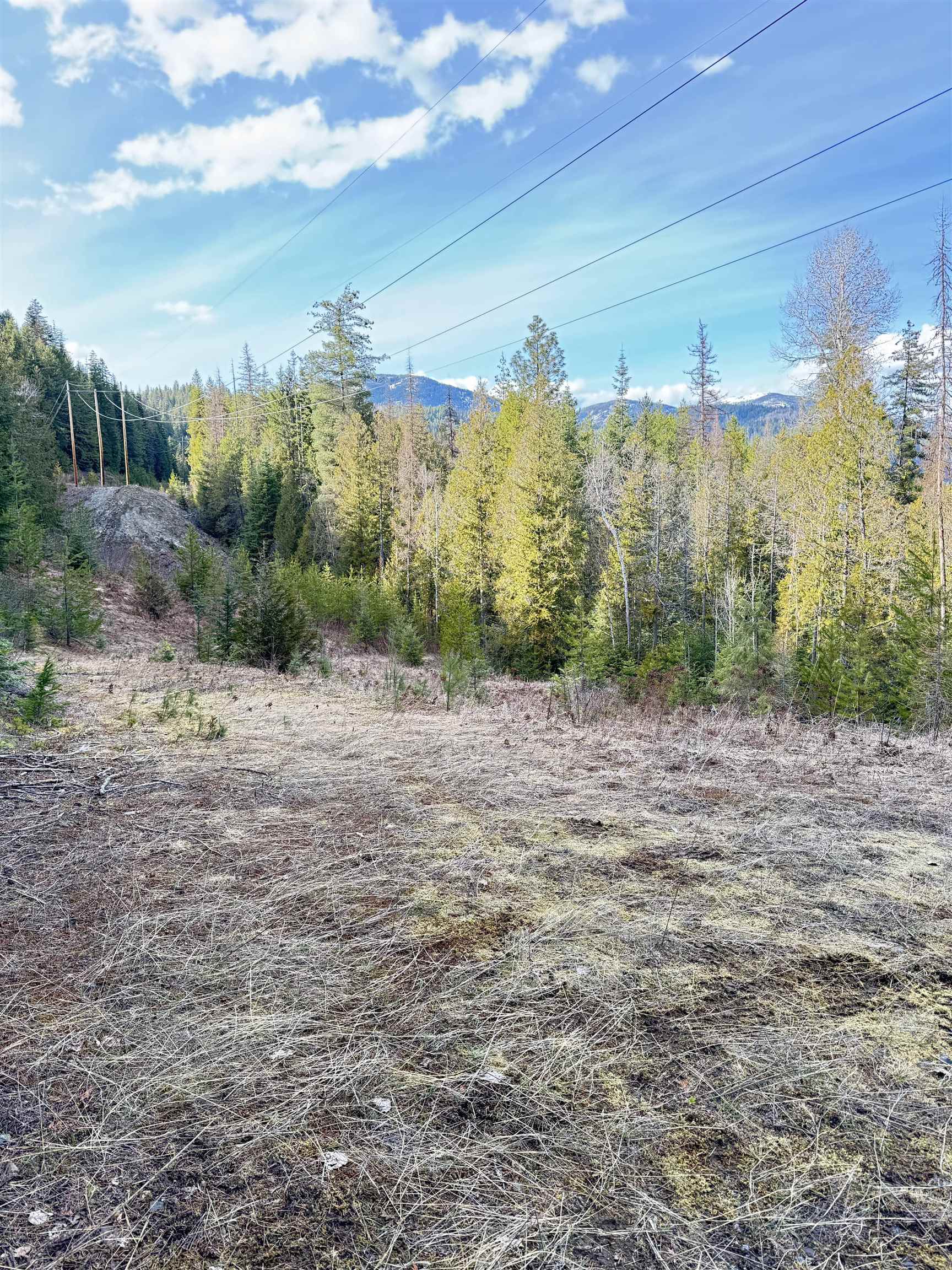 7301 WA-31 Hwy - Photo 9