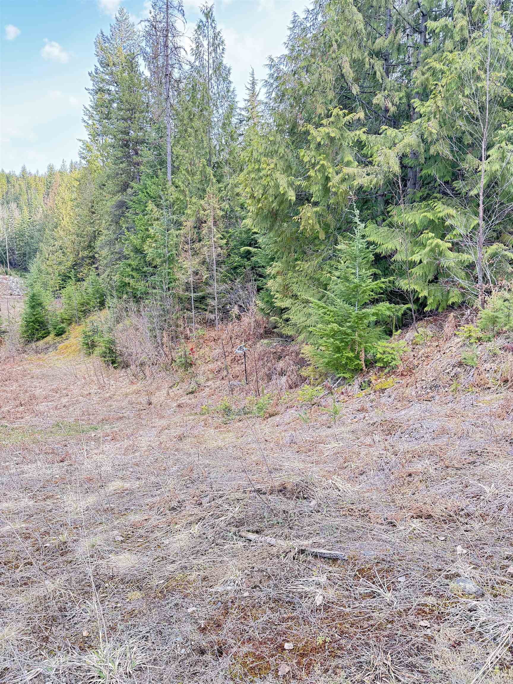 7301 WA-31 Hwy - Photo 10