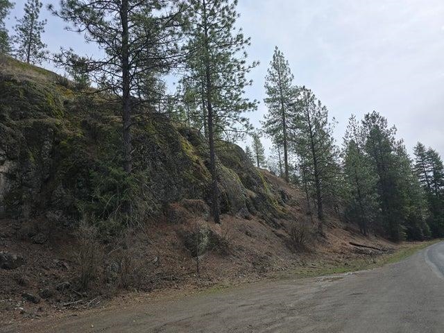 3XX Gold Creek Rd - Photo 2