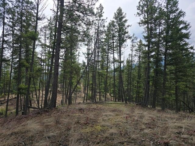 3XX Gold Creek Rd - Photo 11