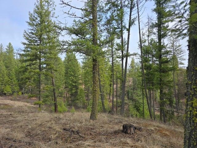 3XX Gold Creek Rd - Photo 12