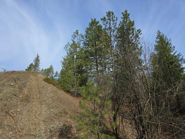 3XX Gold Creek Rd - Photo 14