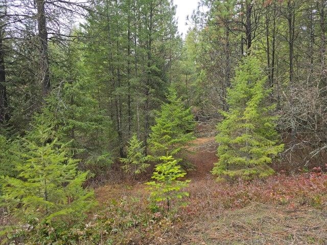 3XX Gold Creek Rd - Photo 3