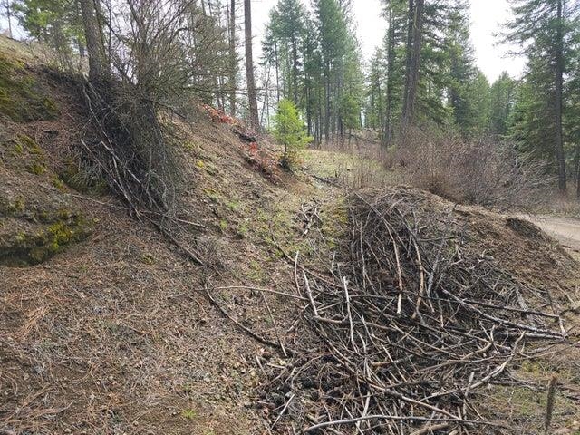 3XX Gold Creek Rd - Photo 5
