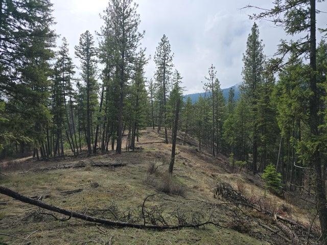 3XX Gold Creek Rd - Photo 6