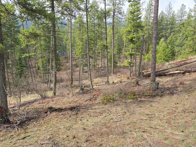 3XX Gold Creek Rd - Photo 7