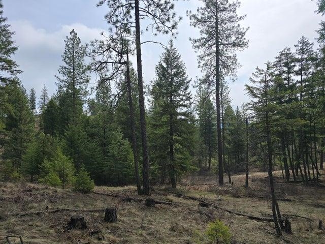3XX Gold Creek Rd - Photo 8