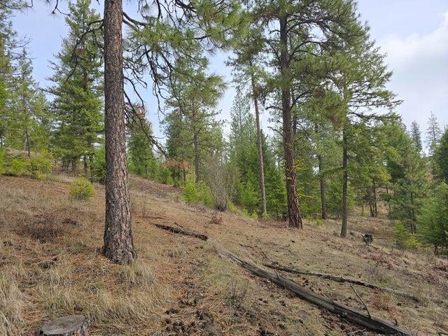 3XX Gold Creek Rd - Photo 9