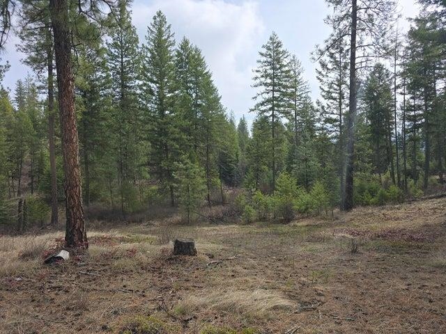3XX Gold Creek Rd - Photo 10