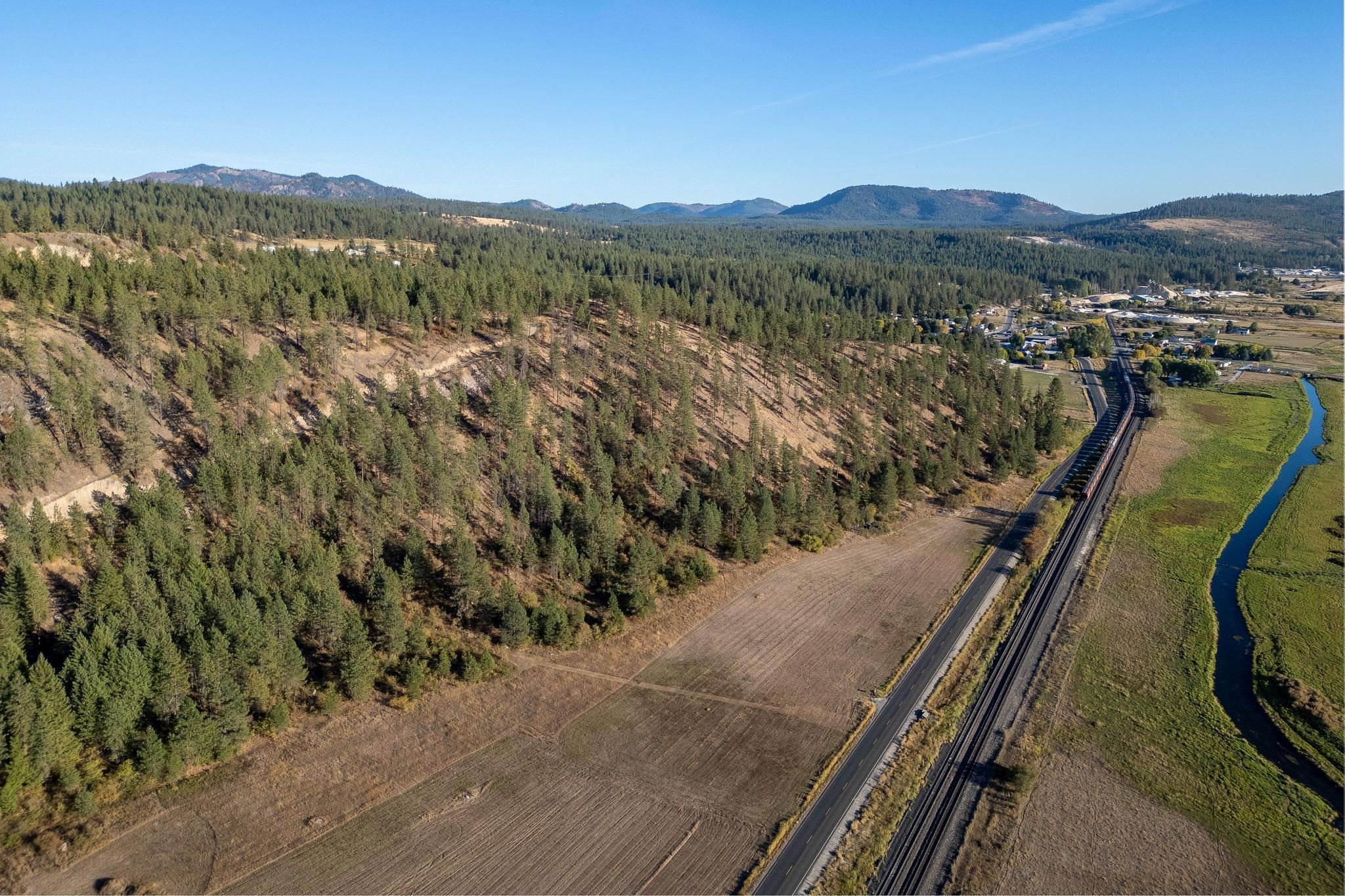 TBD 231 Hwy - Photo 3