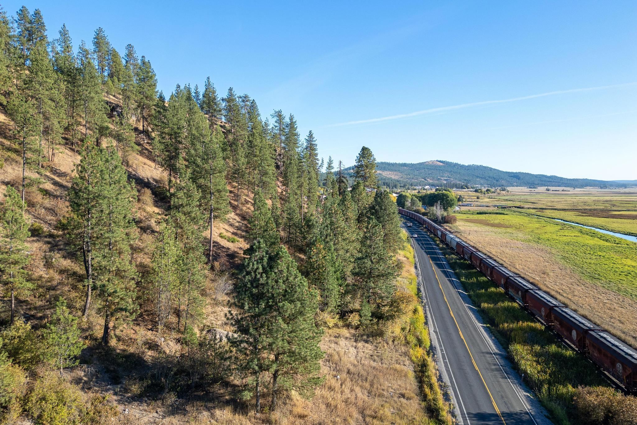 TBD 231 Hwy - Photo 4