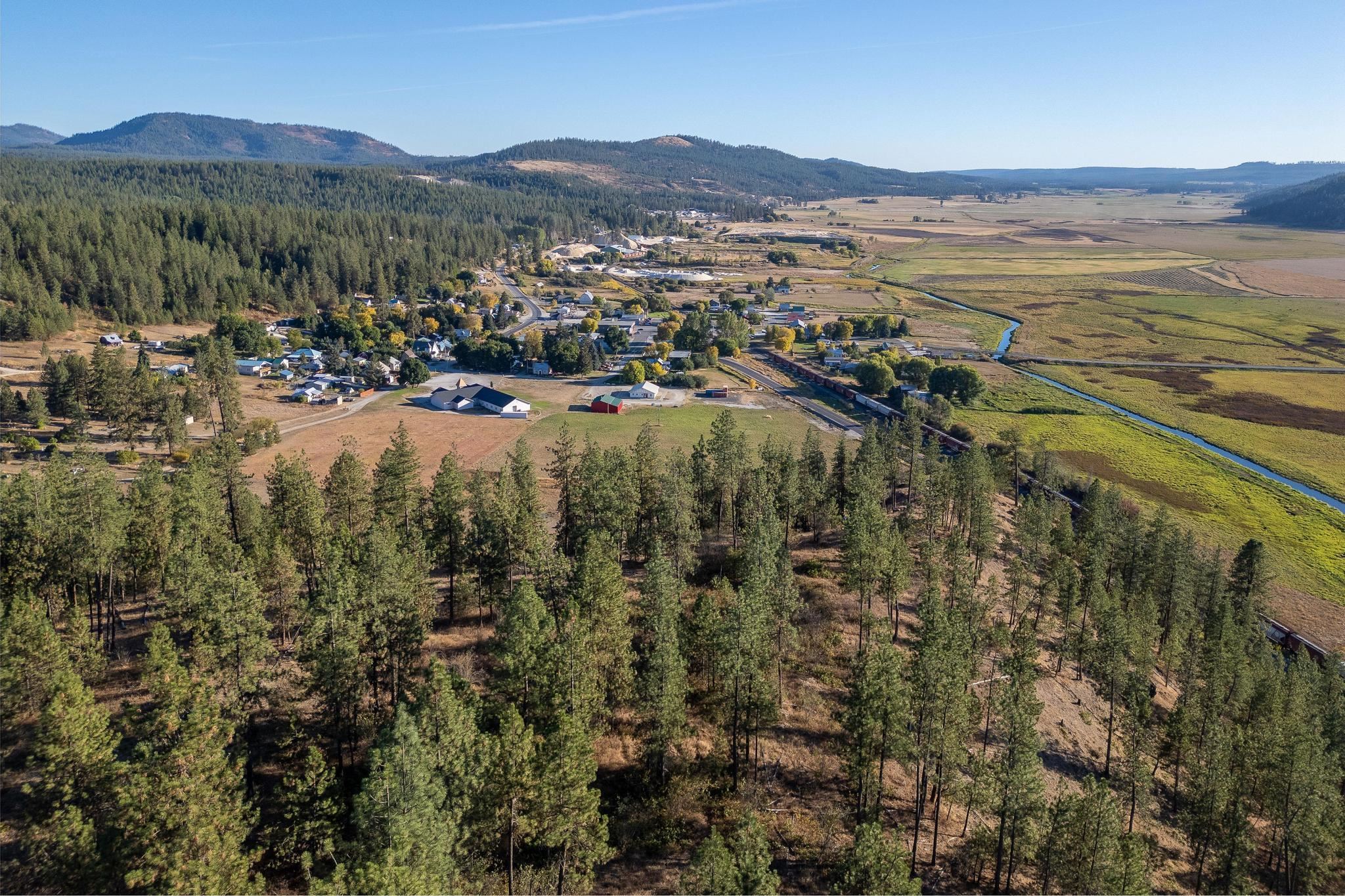 TBD 231 Hwy - Photo 5