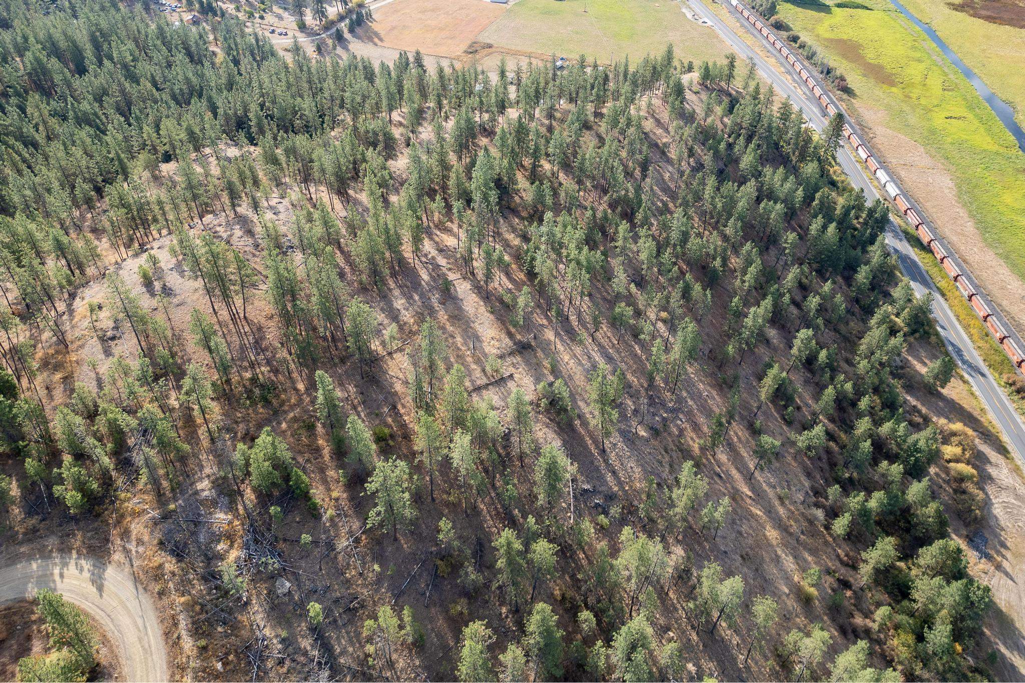 TBD 231 Hwy - Photo 6