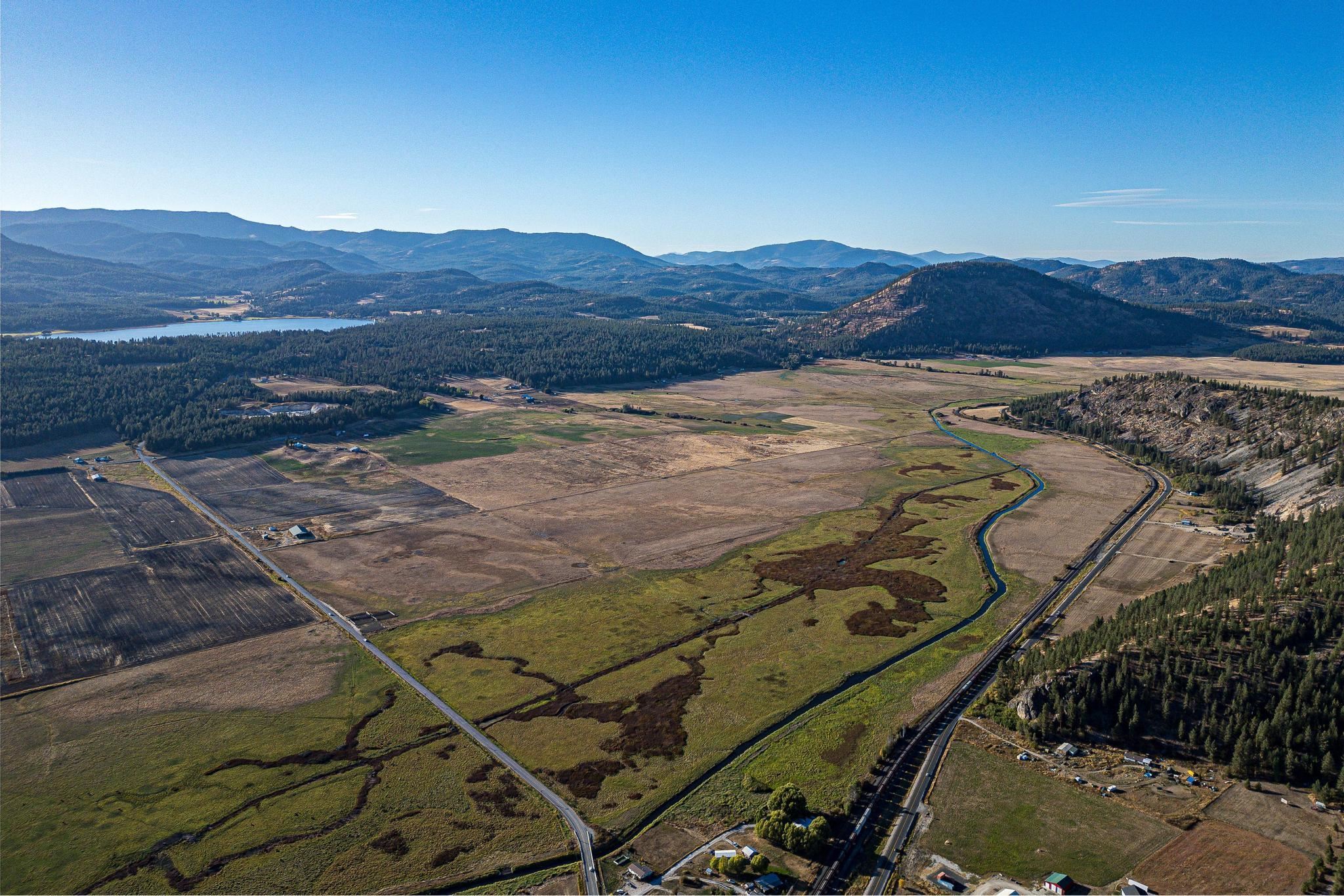 TBD 231 Hwy - Photo 9