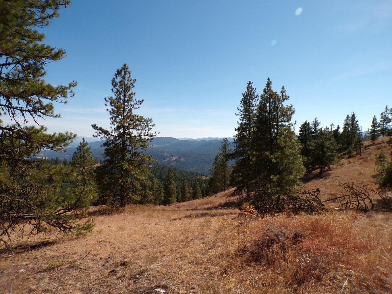 #L Morning Star Ln - Photo 2