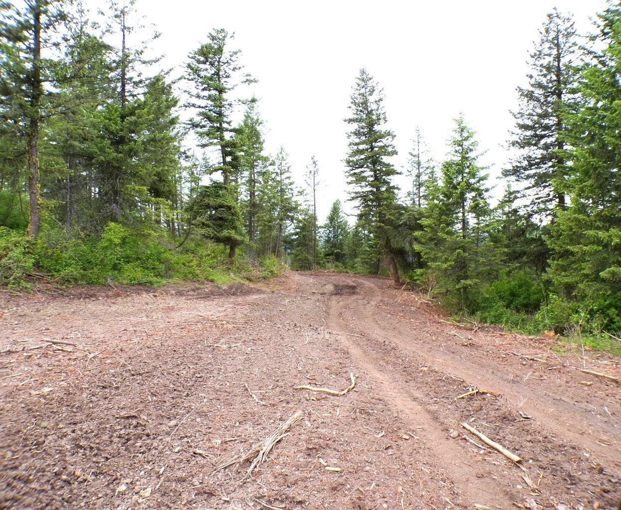 #L Morning Star Ln - Photo 11