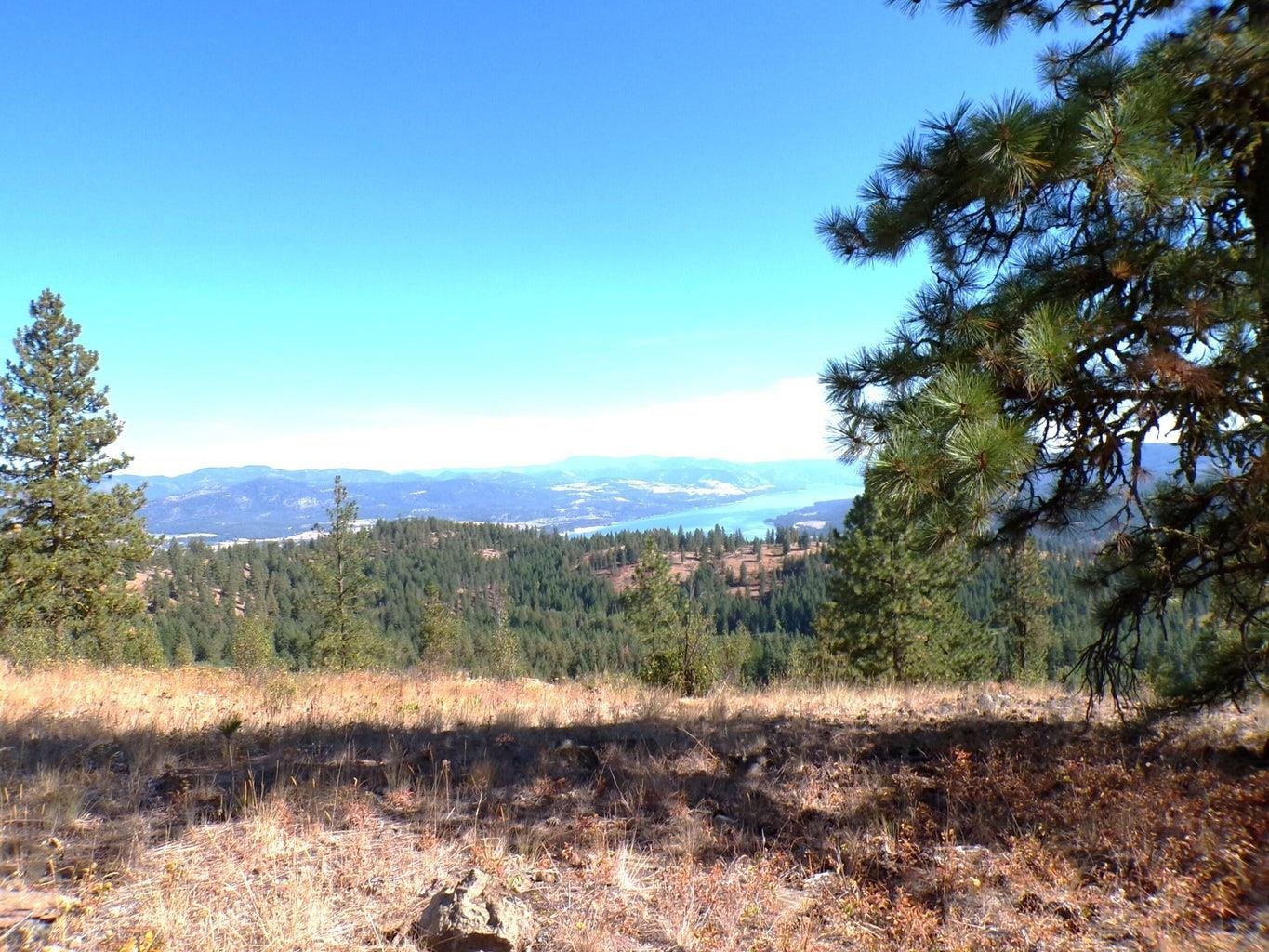 #L Morning Star Ln - Photo 3