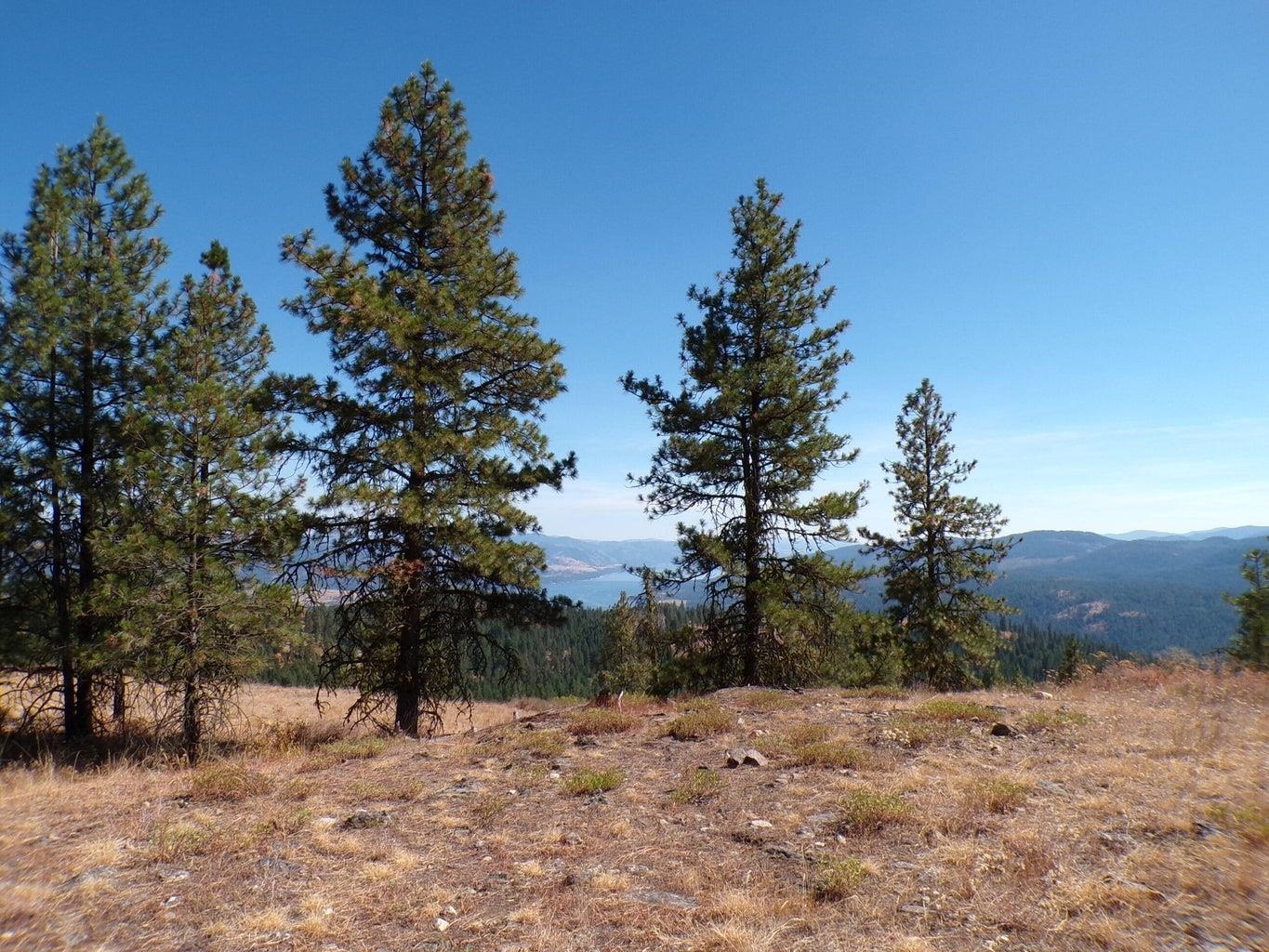 #L Morning Star Ln - Photo 4