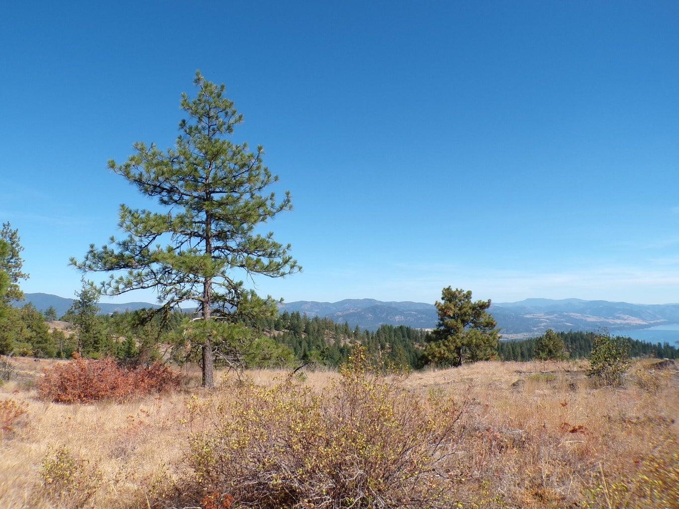 #L Morning Star Ln - Photo 5