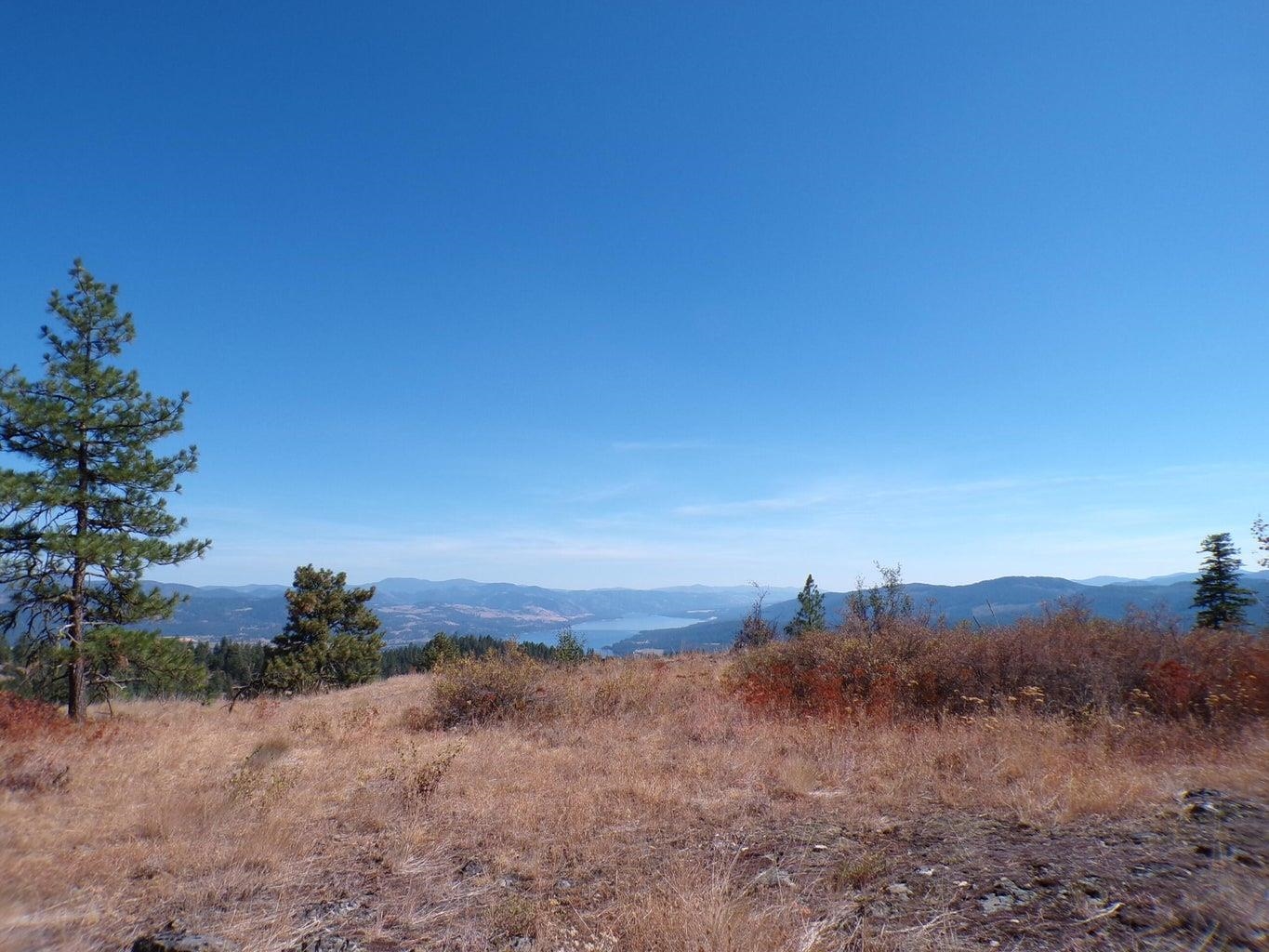 #L Morning Star Ln - Photo 6