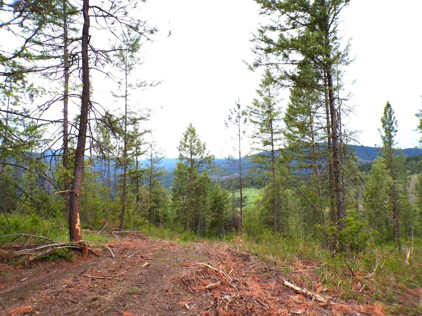 #L Morning Star Ln - Photo 7