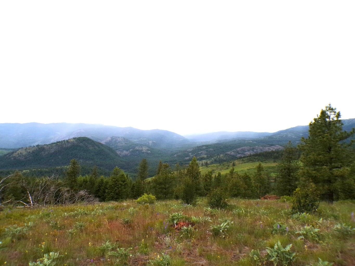 #L Morning Star Ln - Photo 8
